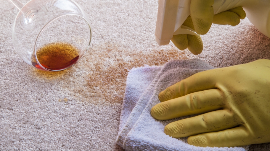 gloved hands cleaning a wine stained carpet